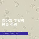 마이펫종합동물병원 이미지