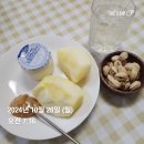 임신 33주 증상 임당 식단 운동 고양이 일상