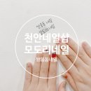 모도리네일 네이버블로그