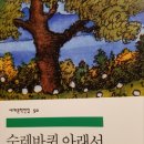 김나시온 이미지