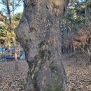 함안등기소 이미지