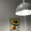 대전 관평동 맛집 . 건강한 식단 새우샐러드 파스타 추천 프롬보울