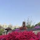 수채화 어반스케치 이미지
