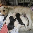 안골로108번길 이미지