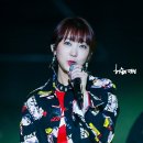리니 Daum카페