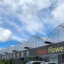 예삐마트 이미지