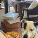 알럽에스제이 이미지