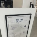 메종드캣 이미지