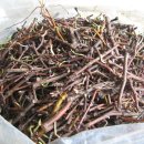 내서읍1171 이미지