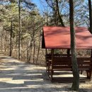 물무산행복숲둘레길 이미지