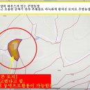 월영농장 티스토리