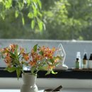 만성로2 이미지