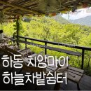 호수쉼터 | 하동 하늘호수차밭쉼터 인스타그램에서 유명한 그 곳 솔직후기... 주차, 가는 길 자세하게!