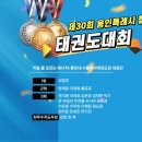 용인대 이레 태권도 이미지