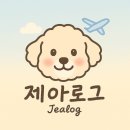 오토플러스 | 몽산포 오토캠핑장 2구역_코베아 고스트 플러스 텐트 추천, 솔직후기, 텐트비교