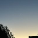 (주)코리아세븐 순천역전점 | 투데이유자몽세이모지안그래