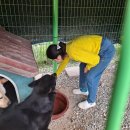계진농장 네이버블로그