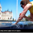 26년 독일: 6월 폭염으로 5천 명 초과 사망 이미지