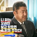 최신영화 카운트 이미지