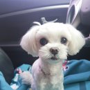 아주커치킨 첨단3점 이미지