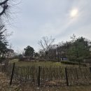 원흥1차아파트경로당 | [On부동산] 서울 송파구 거여동 현대1차아파트 임장후기