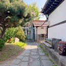 [춘천 카페] 신북커피 _ 레트로 시골집 감성 추천, 내돈내산 후기