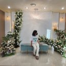 준비 01. 웨딩홀 투어 후기. (의정부 경민 웨딩홀, 중계동 비엔피 컨벤션, 의정부 웨딩팰리스 투어 후기)