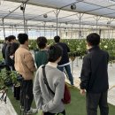 청년귀농 장기교육 2주차 후기｜실습과 이론의 반복 속, 조금씩 익숙해지는 농업인의 길