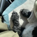 광일카센타 이미지