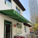 카카몽 애견미용실 | 주엽 미용실 차오룸헤어에서 클리닉 받은 후기