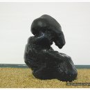 수석 이미지