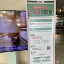 씨지컨설팅 | 대구청년센터 2023 예스 잇기 박람회 후기