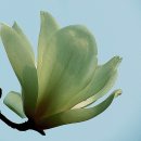 덕진구청 이미지