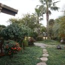 동화나라 애견 이미지