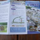 정동진식당 이미지