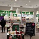 스타바디샵 이미지
