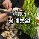 늘푸른청계농원 | 포항 현지인 맛집 '청계농원' 비닐하우스 안에서 미나리삼겹살 먹는 낭만 내돈내산 후기