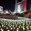 도깨비LED조명 이미지