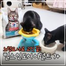 힐스펫뉴트리션코리아(유) | 노령묘 사료 선택 중요한 이유! 4묘 집사가 정착한 힐스 인도어 7+