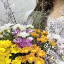 피네농장 이미지