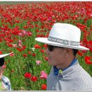 하동포구공원1 이미지