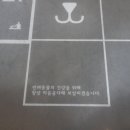 죽전동물메디컬센터 네이버블로그