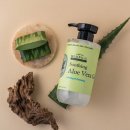 스페셜라인 이미지