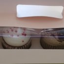 파티라슈 이미지