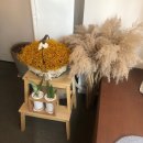 오브더데이(of the day) 이미지