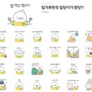 (주)마젤디파인