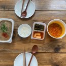 아베끄 0426 | 2 #동문재레시장 #제주감성독채펜션 #우진해장국 #아베끄0424 #만장굴 #스누피가든 #비밀의숲 #산굼부리