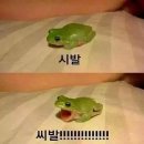 아이짱보습학원 | [일상/알바]보습학원 알바 후기. (수학학원 보조강사 알바)