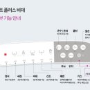 노비타비데