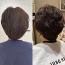 문화의 거리 및 명소화 거리 | 노원역 미용실 준오헤어 노원문화의거리점에서 극손상클리닉 및 드라이 받은 후기(Feat.서연디자이너)